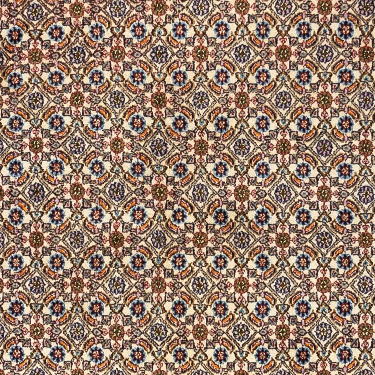 Alfombra persa - Clásica - 238 x 167 cm - beige
