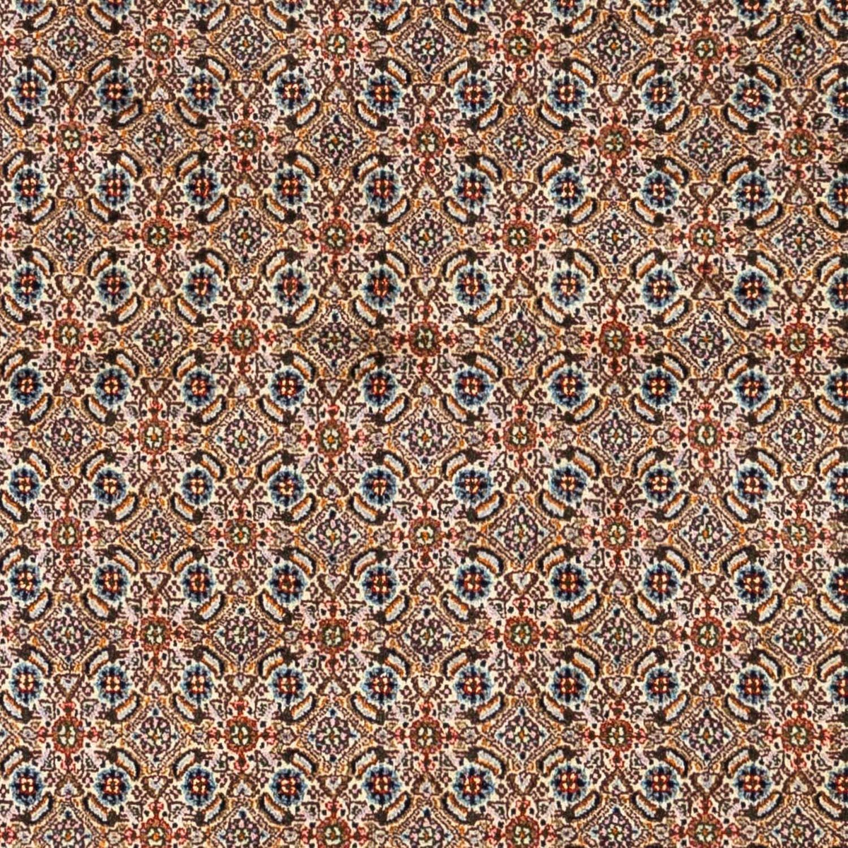 Alfombra persa - Clásica - 235 x 168 cm - beige