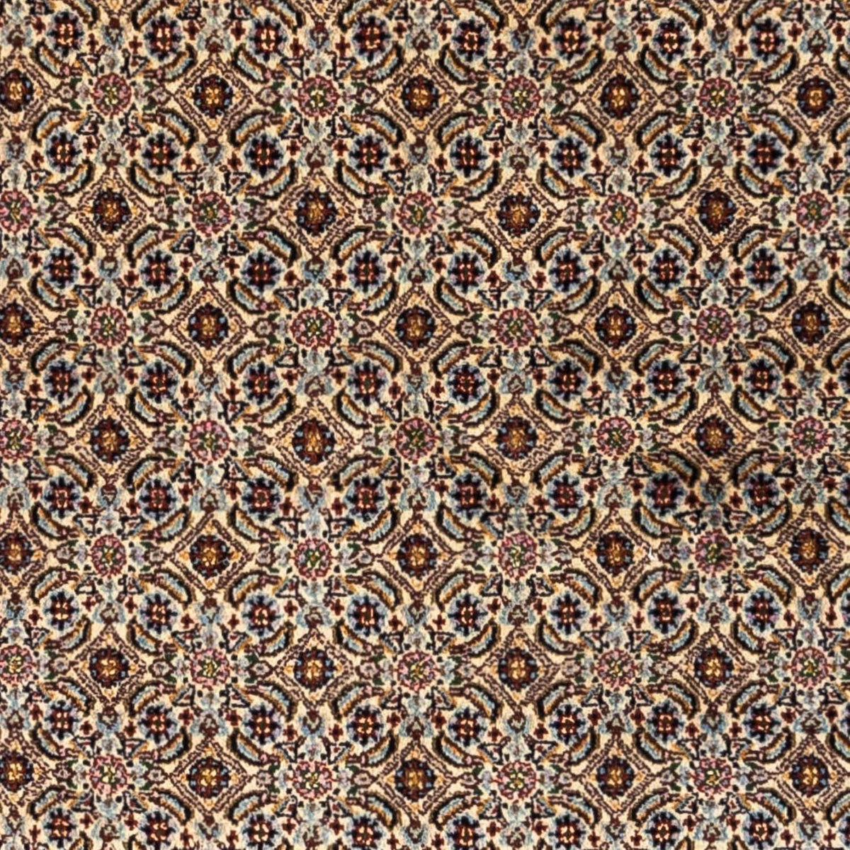 Alfombra persa - Clásica - 235 x 152 cm - beige