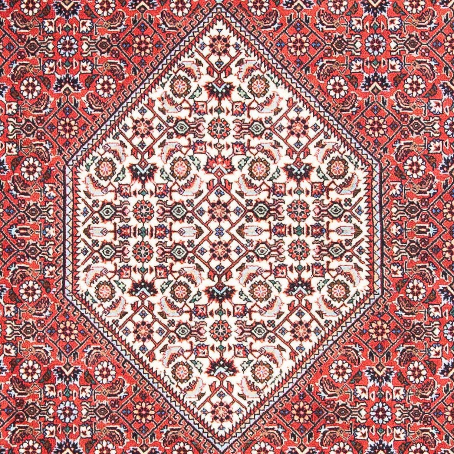 Alfombra persa - Bidjar - 168 x 107 cm - rojo