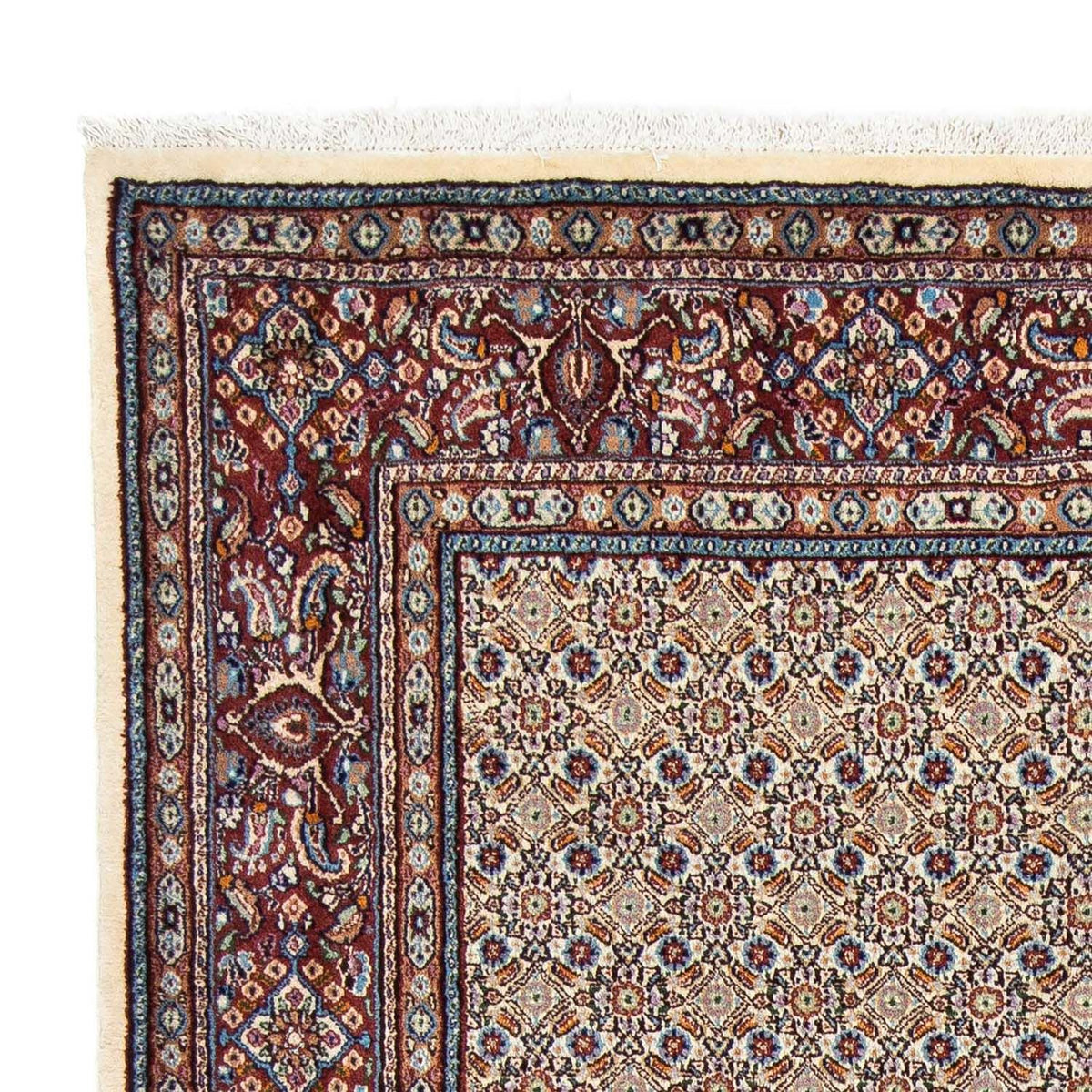 Moud Alfombra 168x246cm - Alfombra persa