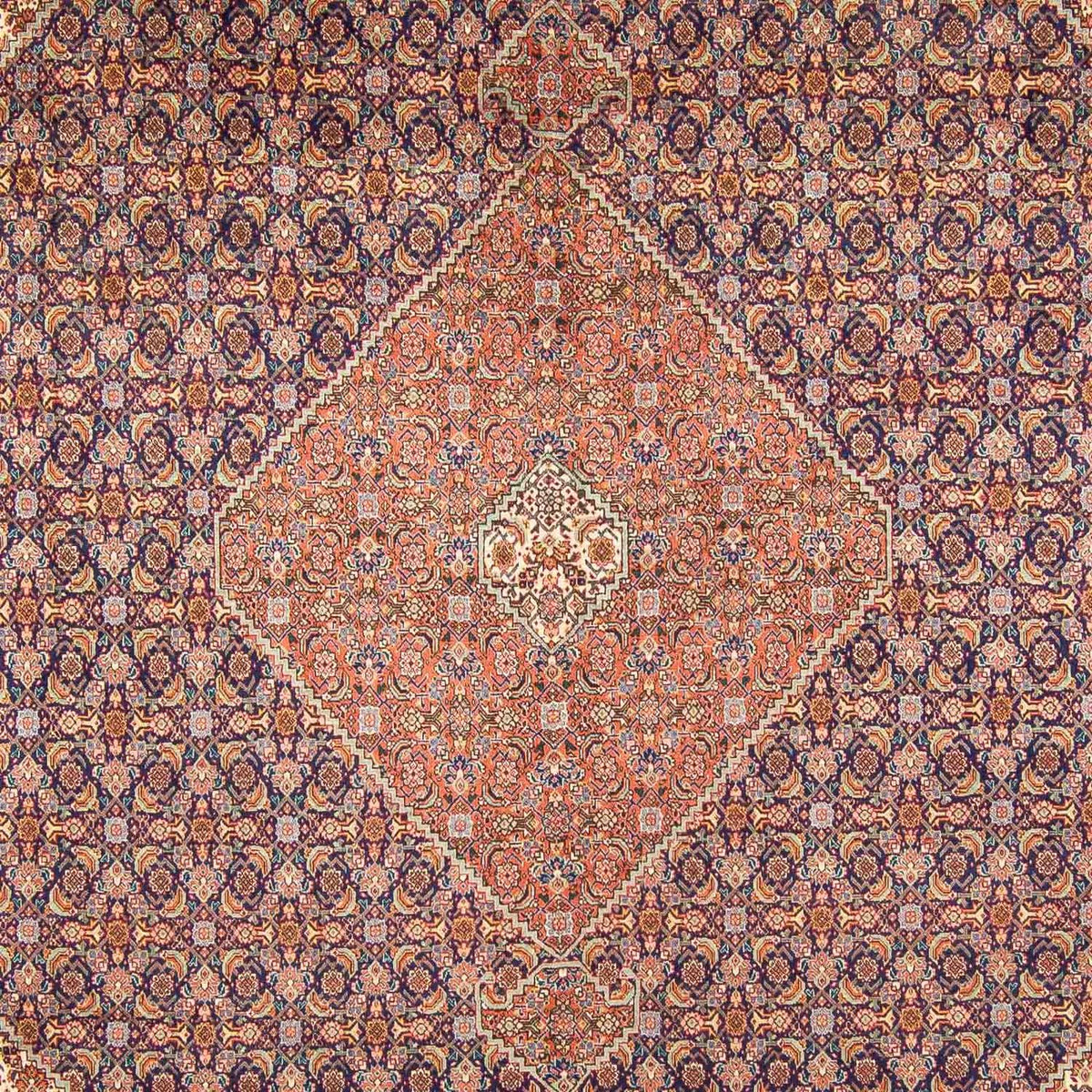 Alfombra persa - Tabriz - 377 x 295 cm - multicolor