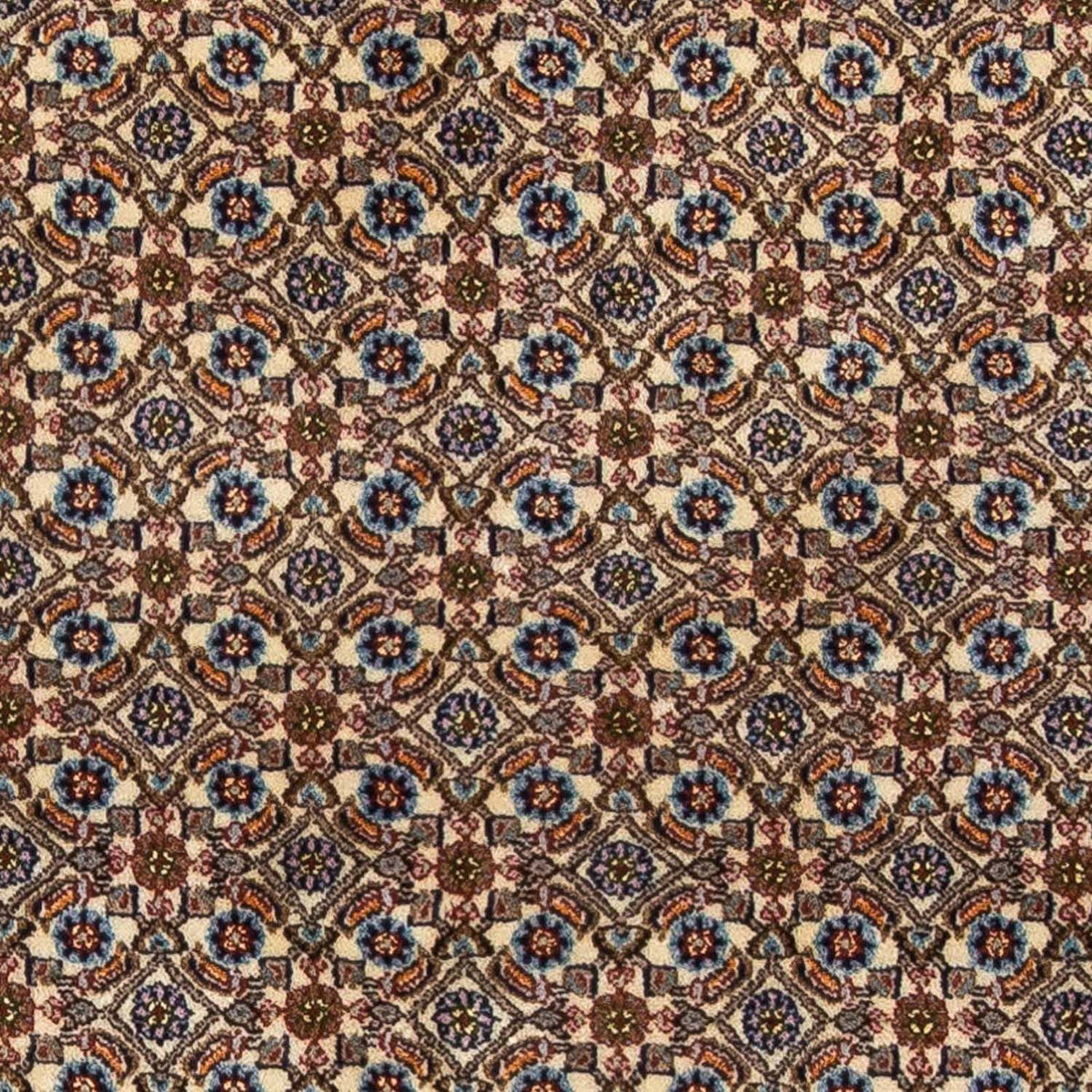 Alfombra persa - Clásica - 195 x 147 cm - multicolor