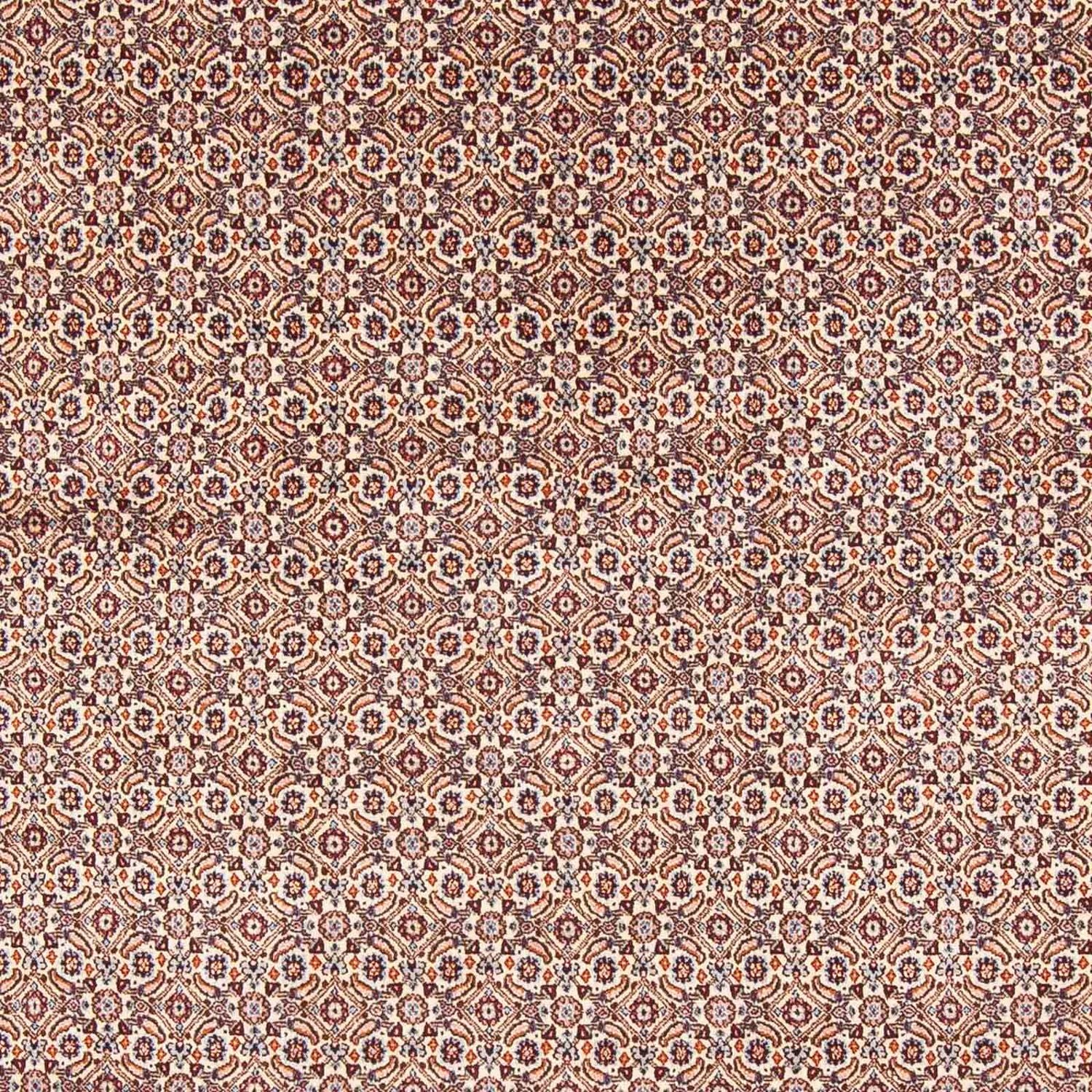 Alfombra persa - Clásica - 244 x 196 cm - beige