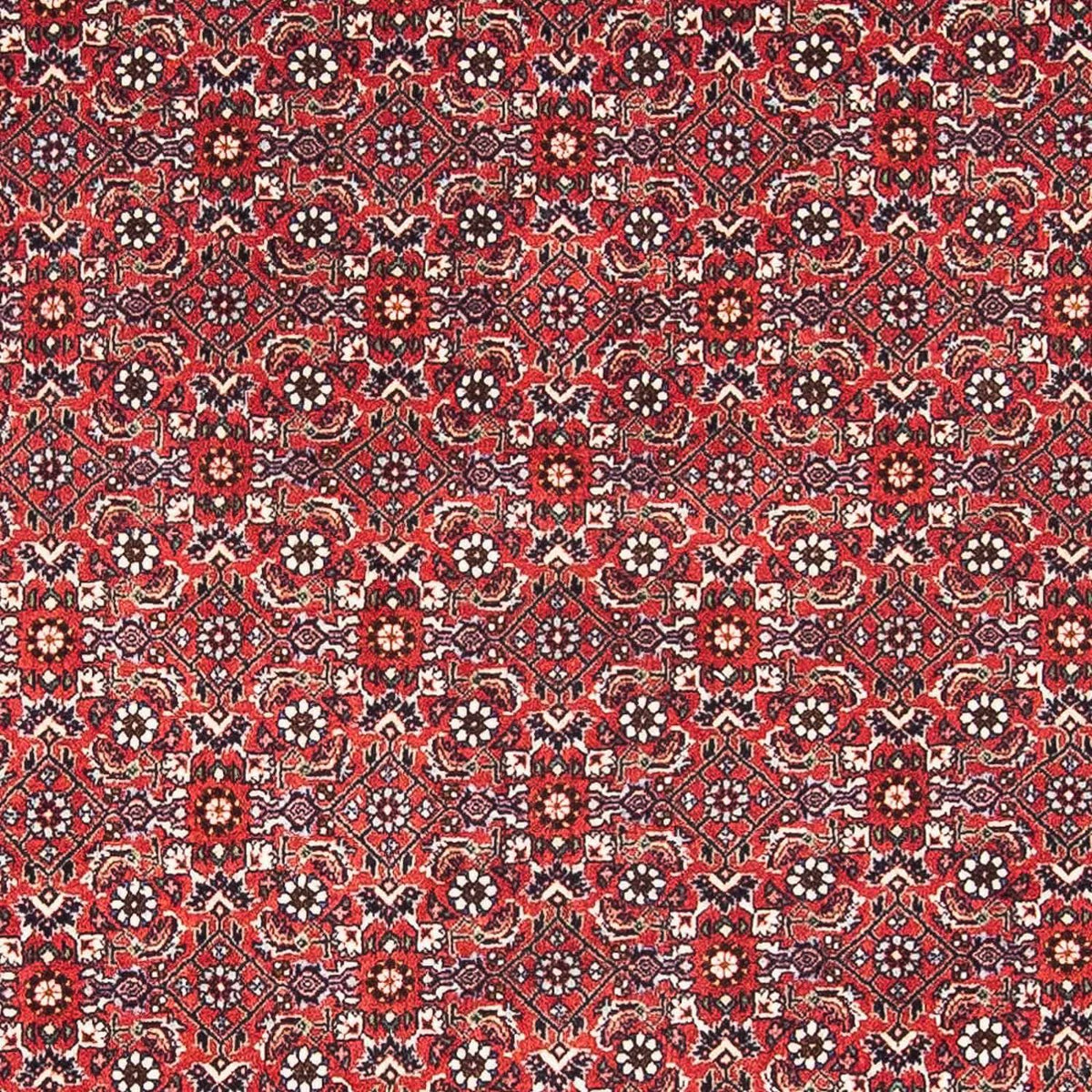 Alfombra persa - Bidjar - 174 x 111 cm - rojo