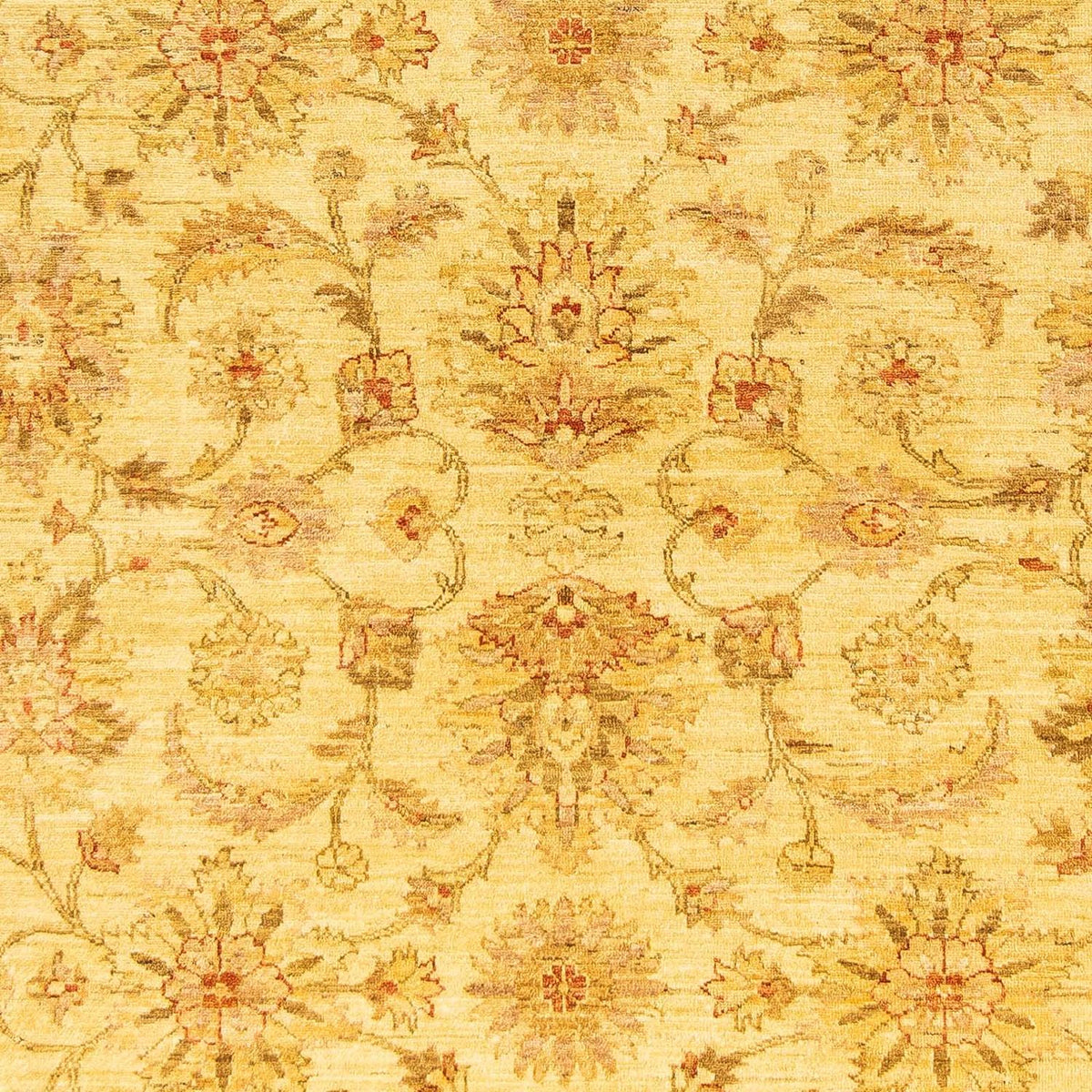 Alfombra Ziegler - 259 x 196 cm - beige