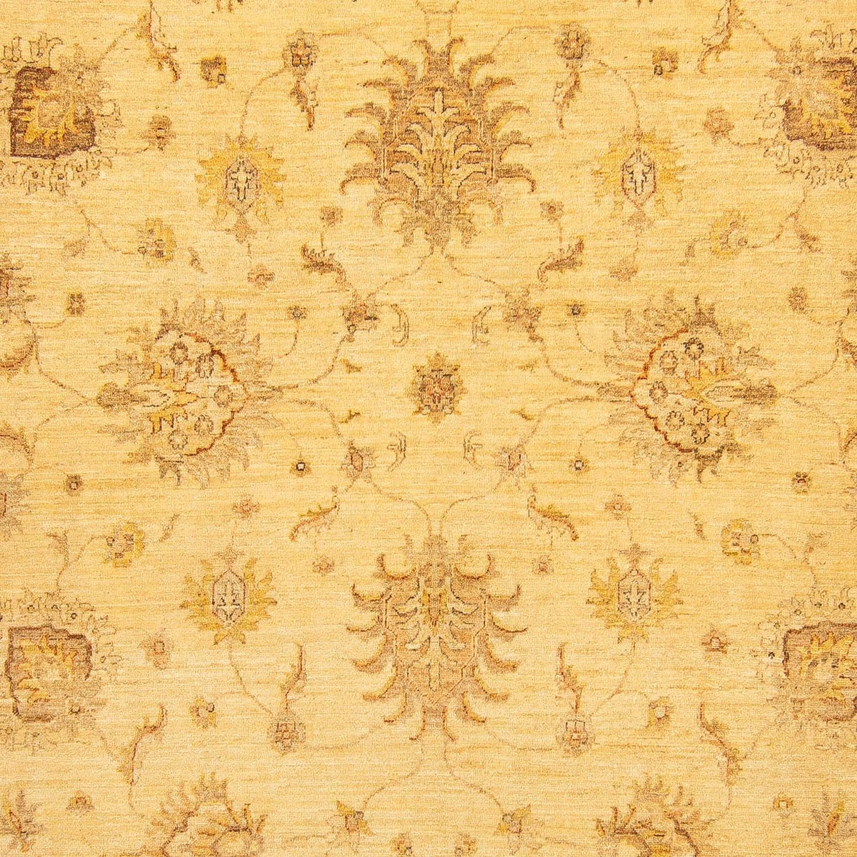 Alfombra Ziegler - 368 x 254 cm - beige