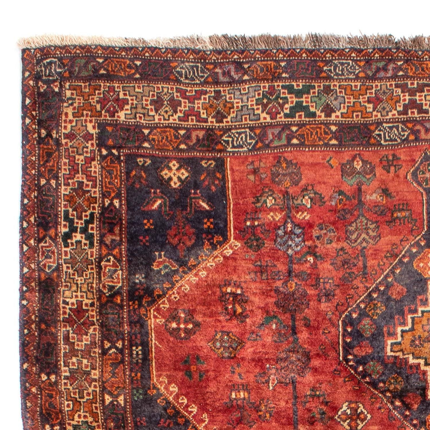 Alfombra persa - Nómada - 306 x 212 cm - rojo