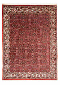 Alfombra persa - Bidjar - 330 x 246 cm - rojo
