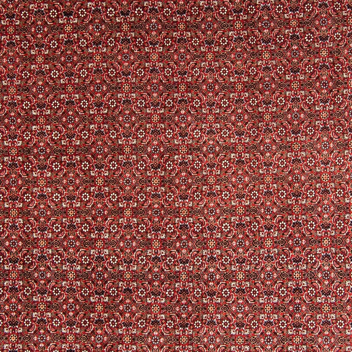 Alfombra persa - Bidjar - 330 x 246 cm - rojo