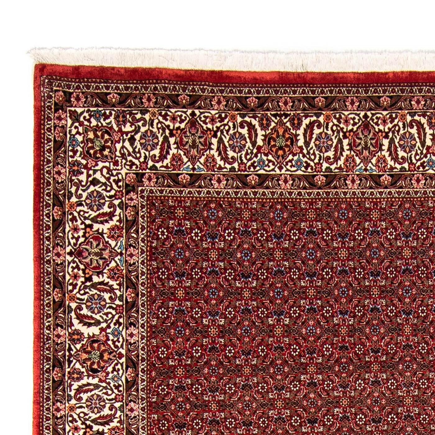 Bidjar Alfombra 330x246cm - Alfombra persa