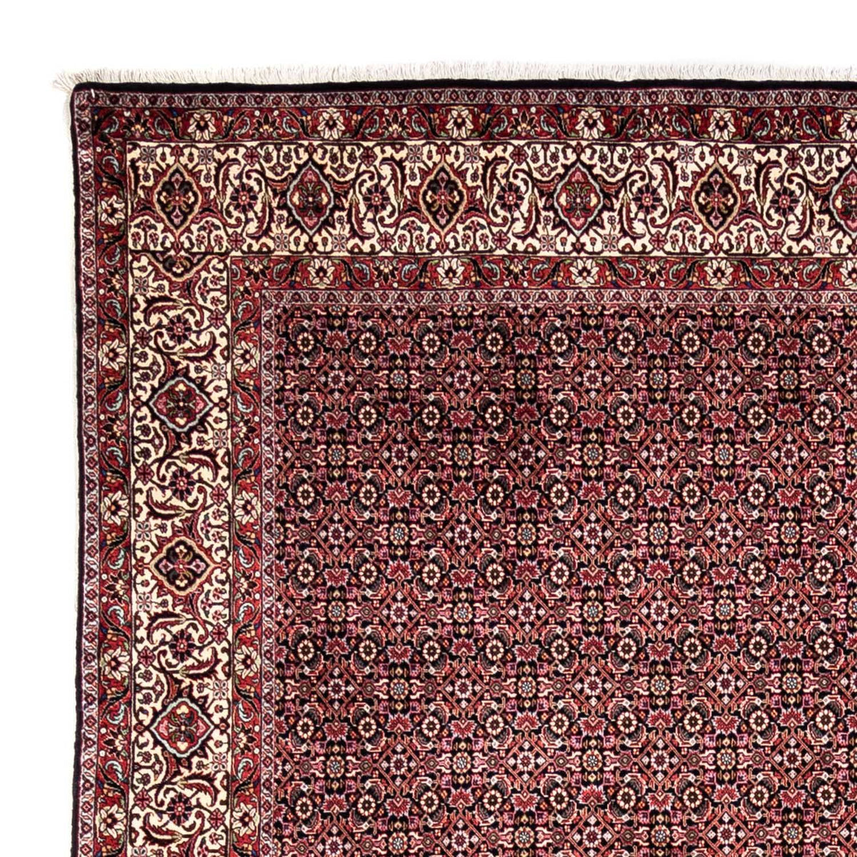 Bidjar - Takab Alfombra 246x345cm - Alfombra persa