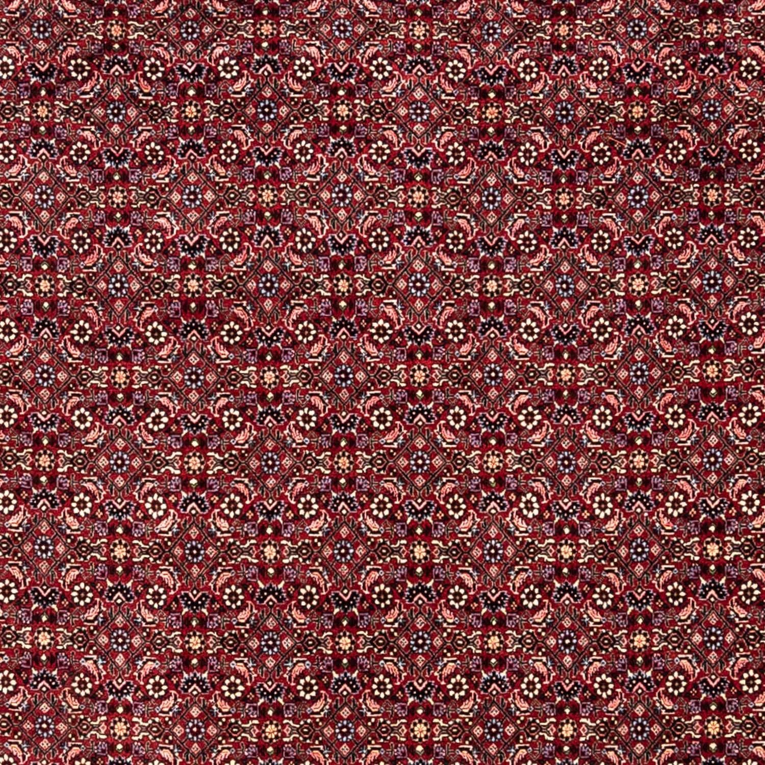 Alfombra persa - Bidjar - 349 x 250 cm - rojo