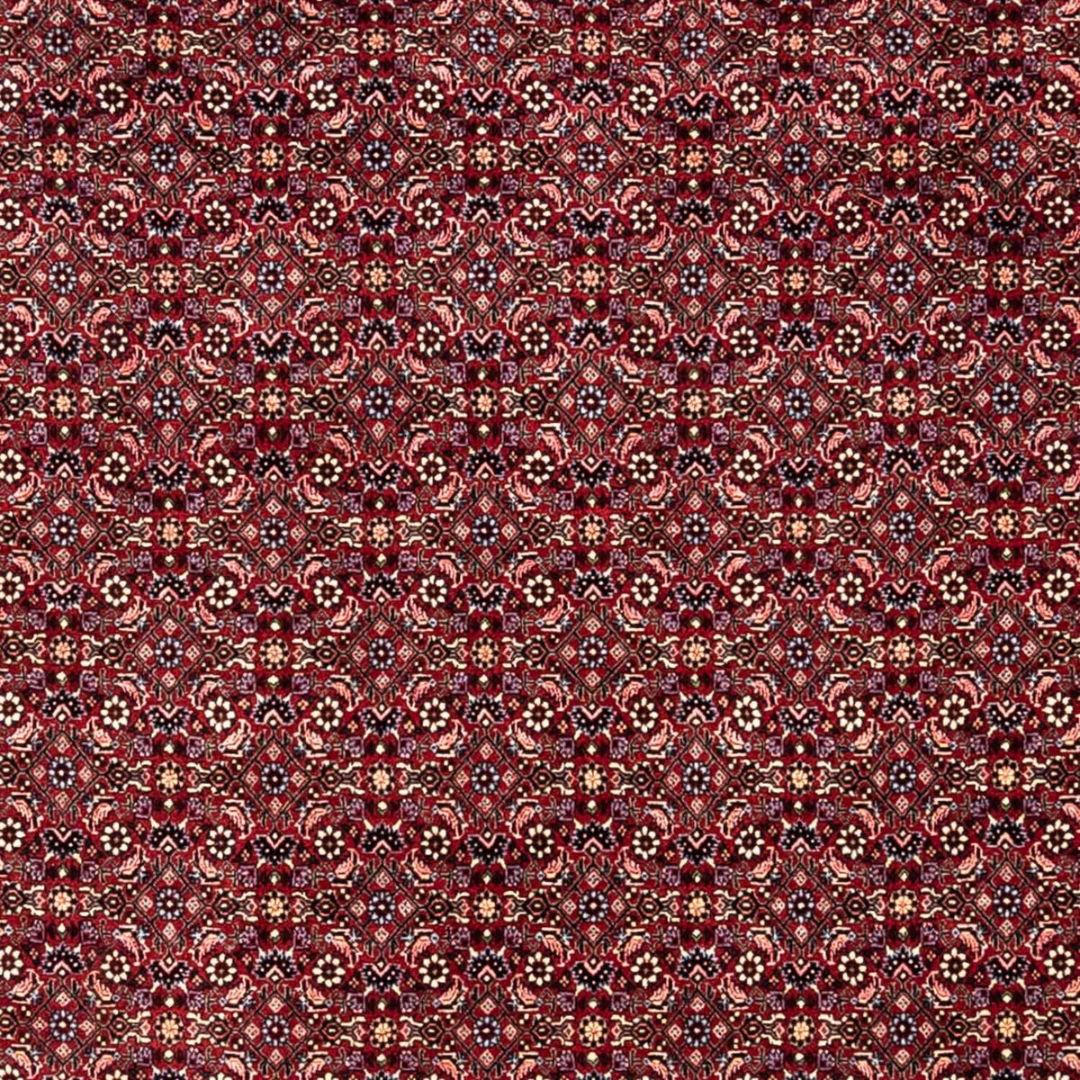 Alfombra persa - Bidjar - 349 x 250 cm - rojo