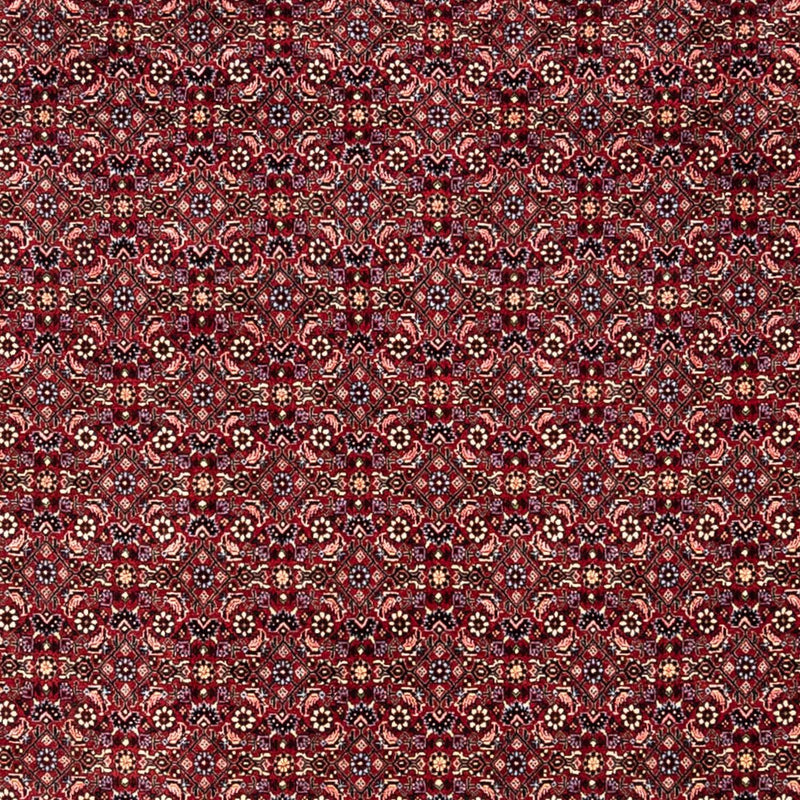 Alfombra persa - Bidjar - 349 x 250 cm - rojo
