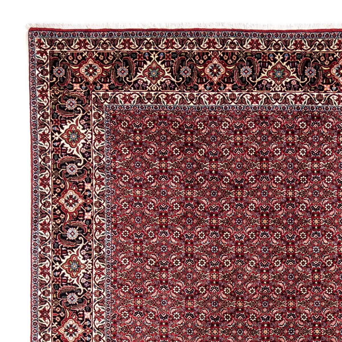 Alfombra persa - Bidjar - 349 x 250 cm - rojo