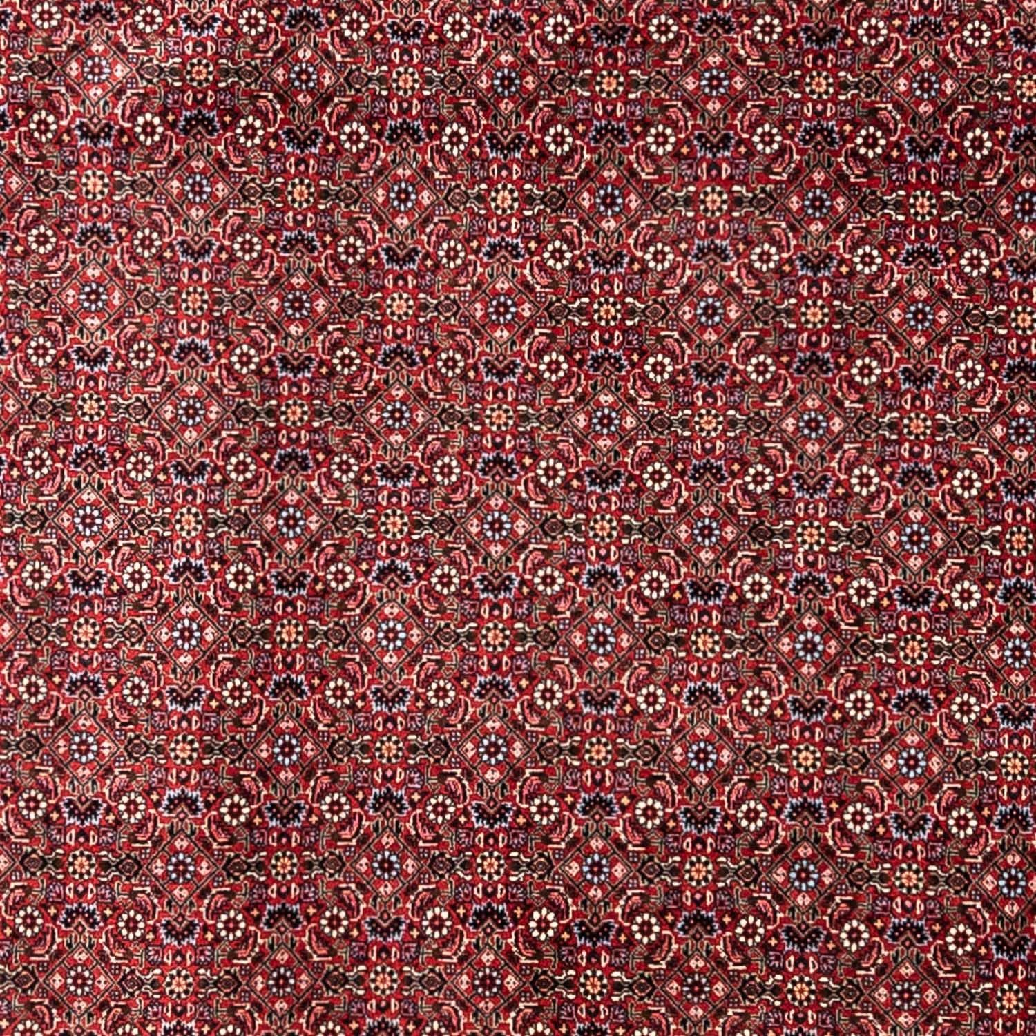 Alfombra persa - Bidjar - 335 x 255 cm - rojo