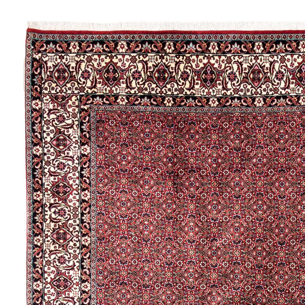 Alfombra persa - Bidjar - 335 x 255 cm - rojo