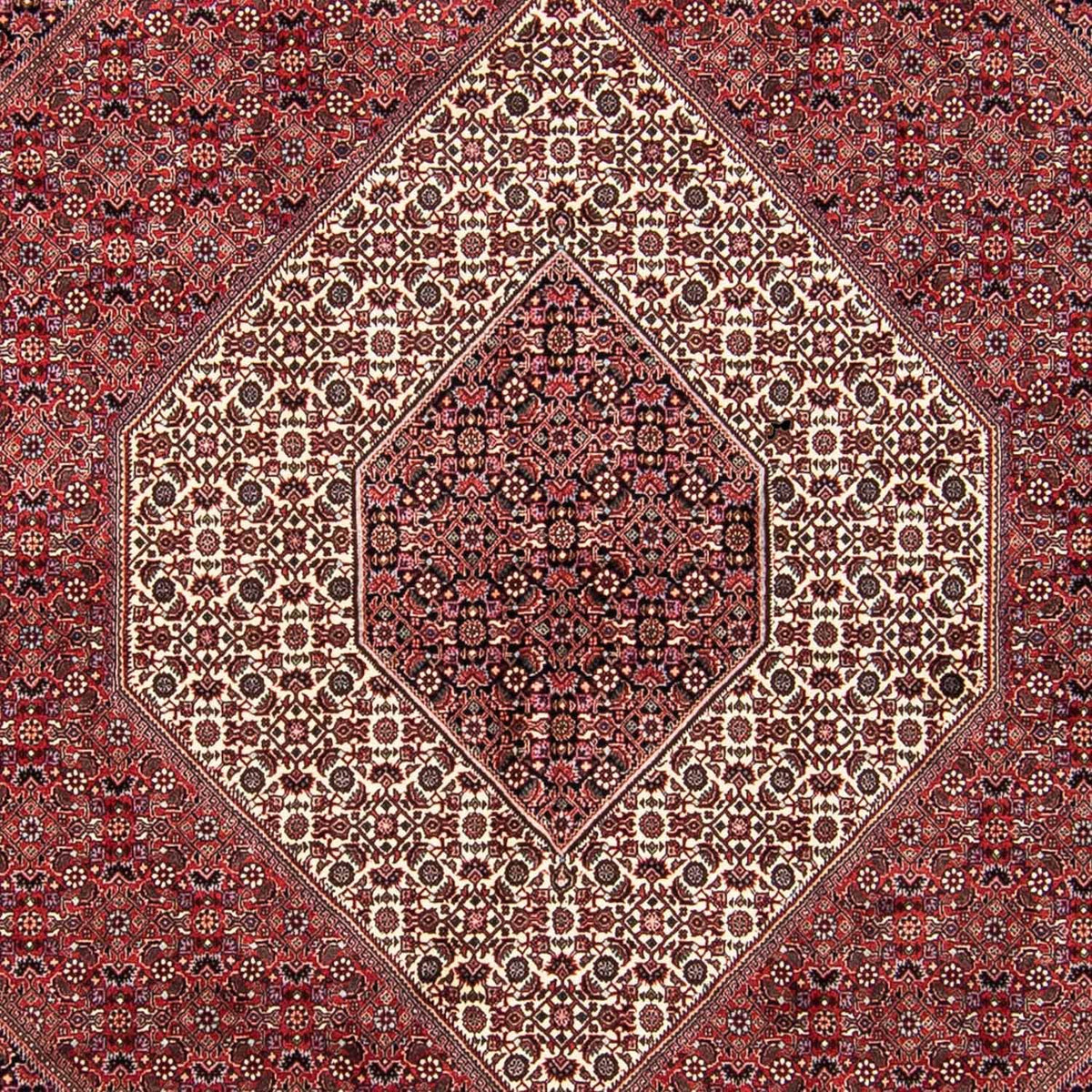 Alfombra persa - Bidjar - 293 x 248 cm - rojo claro