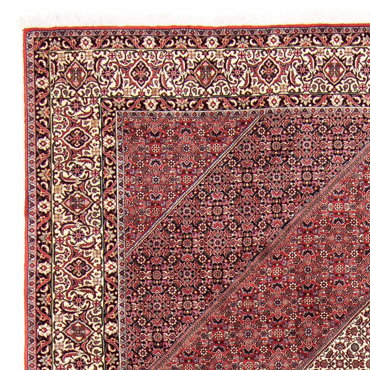 Alfombra persa - Bidjar - 293 x 248 cm - rojo claro
