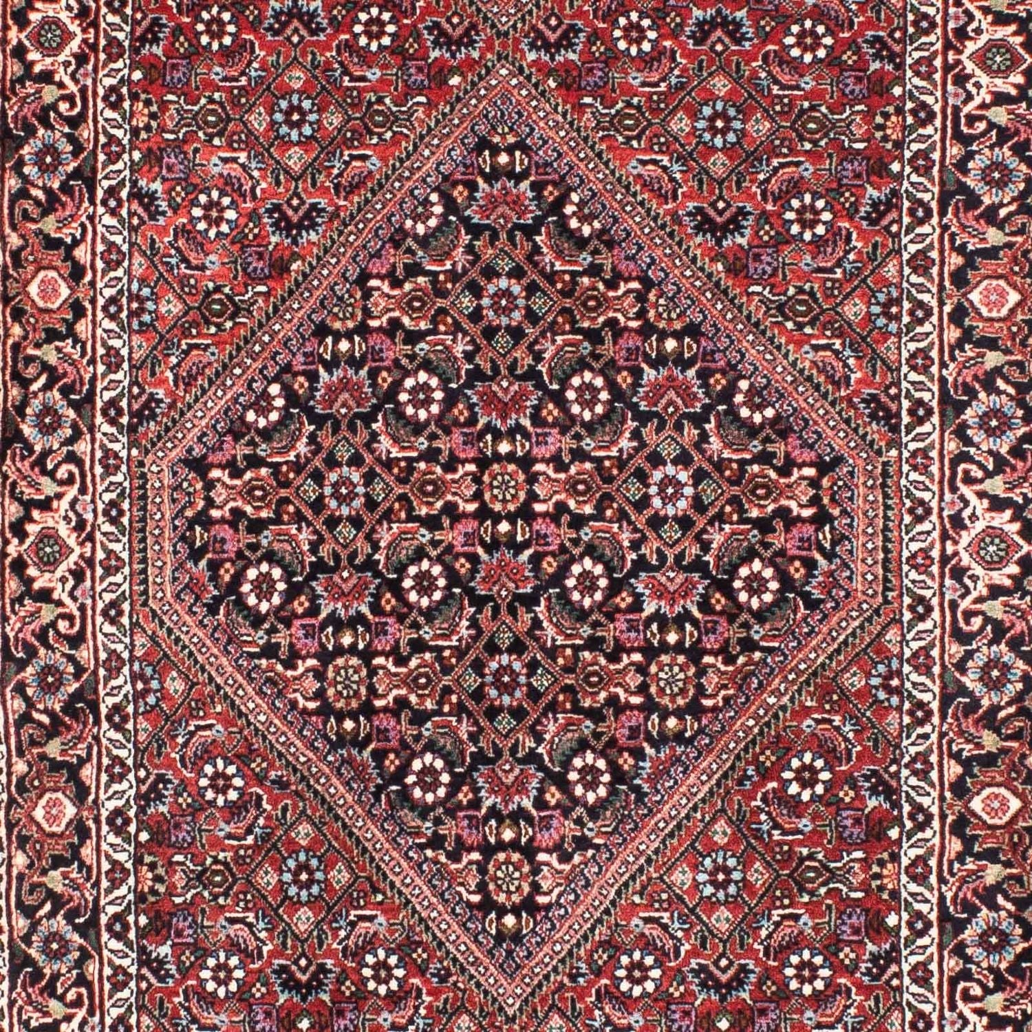 Alfombra de pasillo Alfombra persa - Bidjar - 209 x 74 cm - multicolor