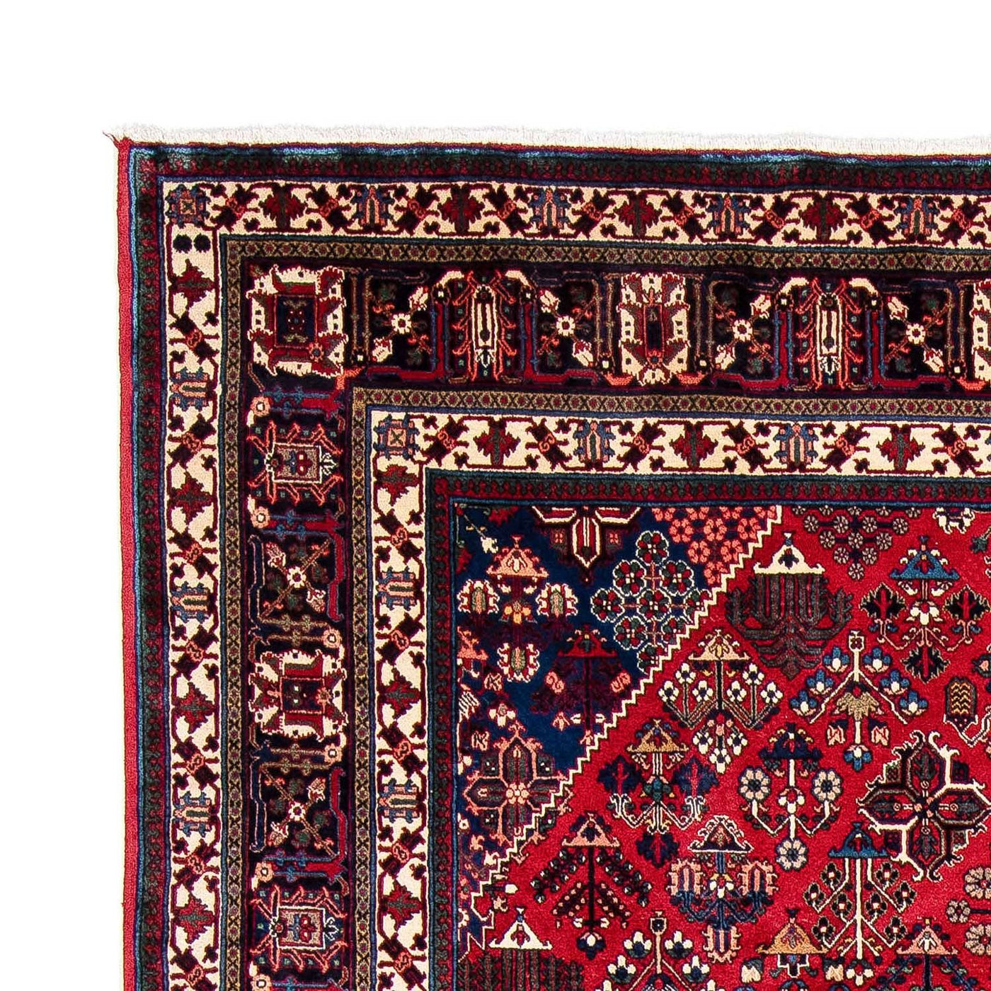 Meymeh Alfombra 343x235cm - Alfombra persa