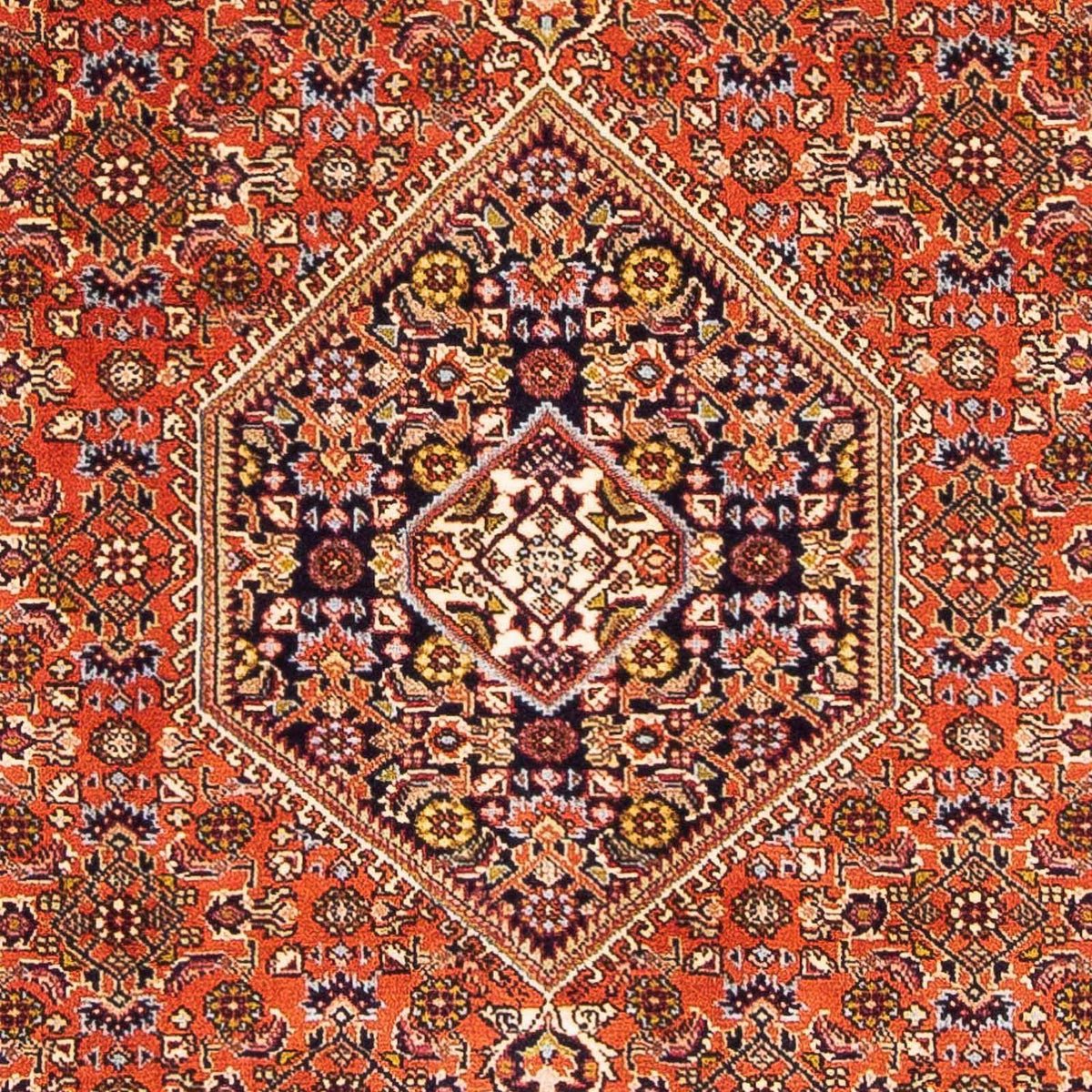 Alfombra persa - Bidjar - 162 x 106 cm - rosa