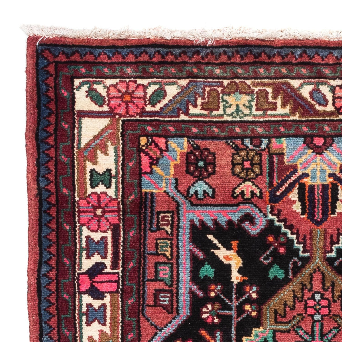 Tuserkan Alfombra 81x116cm - Alfombra persa