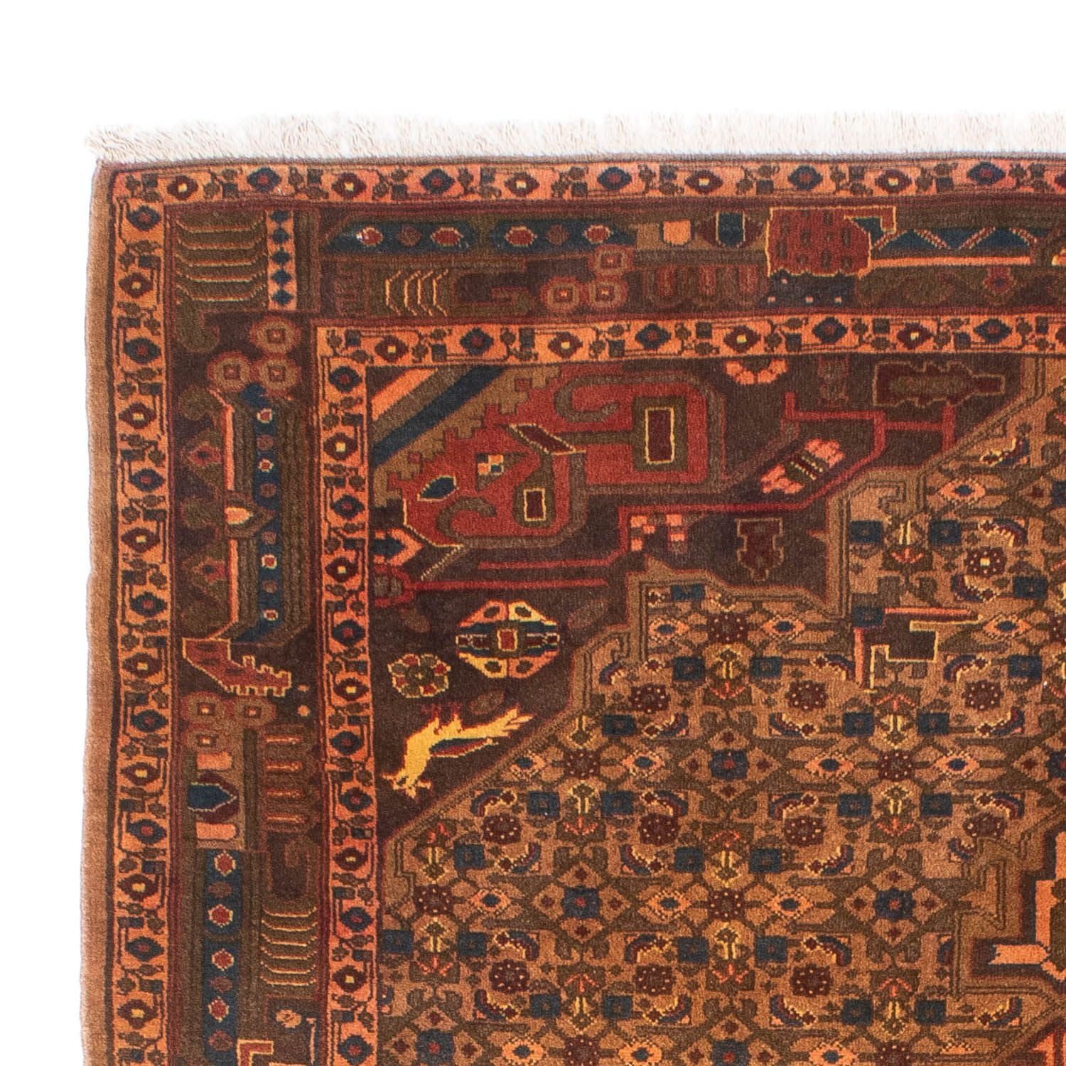 Alfombra persa - Nómada - 218 x 158 cm - marrón