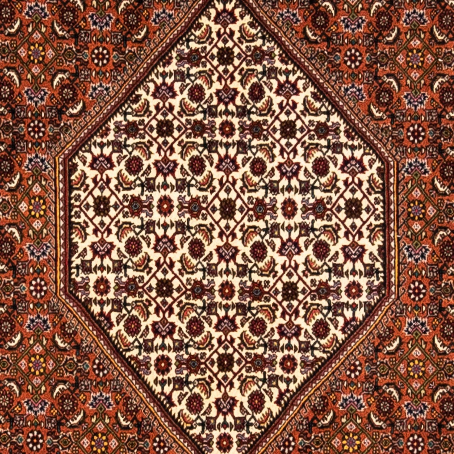 Alfombra persa - Tabriz - 295 x 212 cm - óxido
