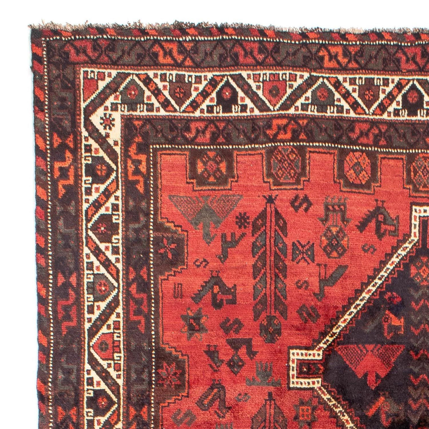 Shiraz Alfombra 318x206cm - Alfombra persa