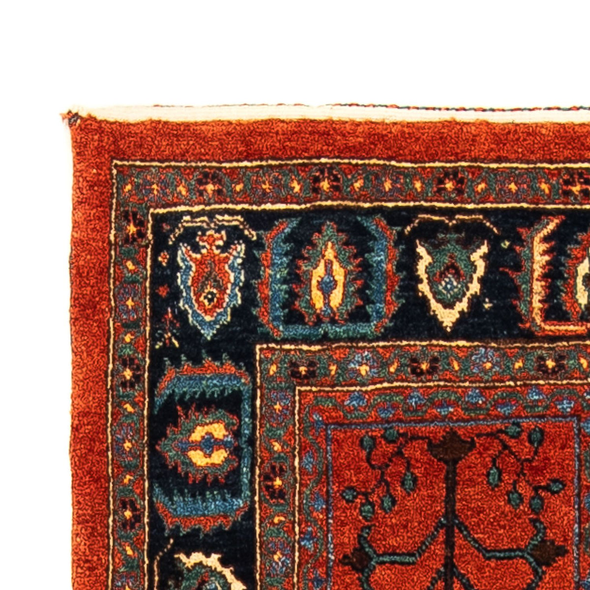 Kashkuli Alfombra 81x164cm - Alfombra persa