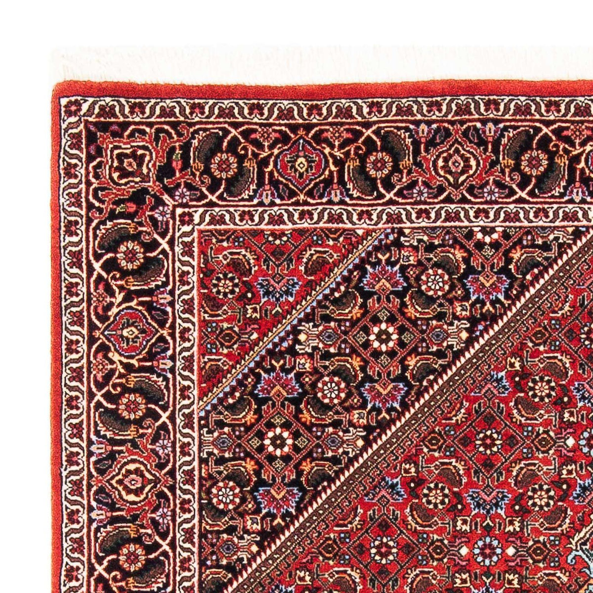 Alfombra persa - Bidjar - 181 x 111 cm - rojo