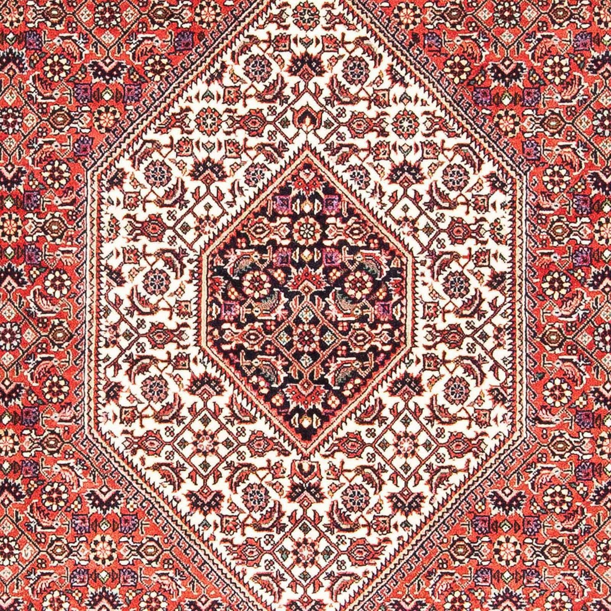 Alfombra persa - Bidjar - 170 x 110 cm - rojo