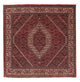 Bidjar Alfombra 148x152cm - Alfombra persa