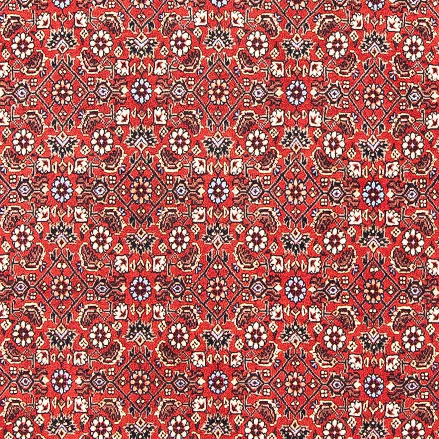 Alfombra persa - Bidjar cuadrado  - 98 x 97 cm - rojo