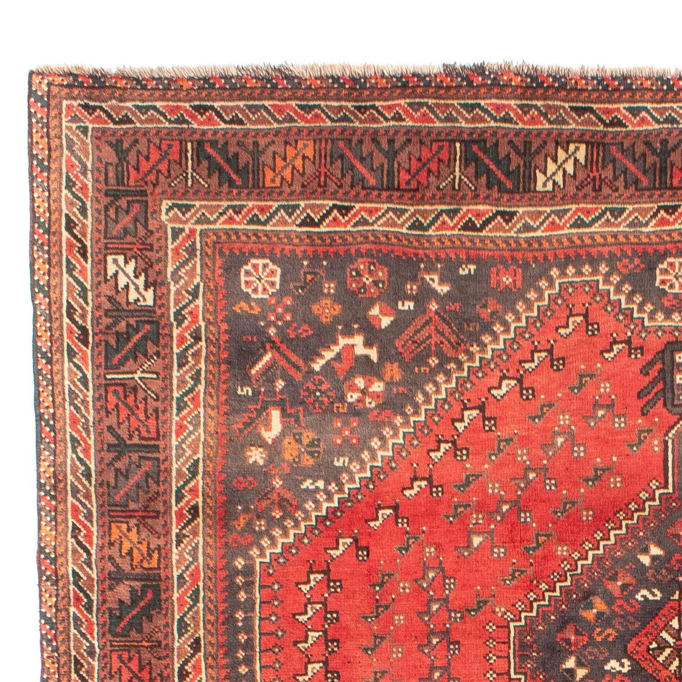 Shiraz Alfombra 279x203cm - Alfombra persa