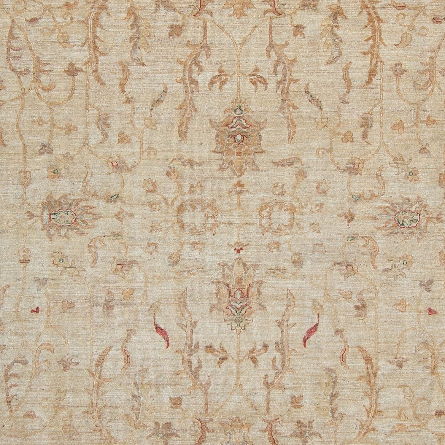 Alfombra Ziegler - 347 x 245 cm - beige claro