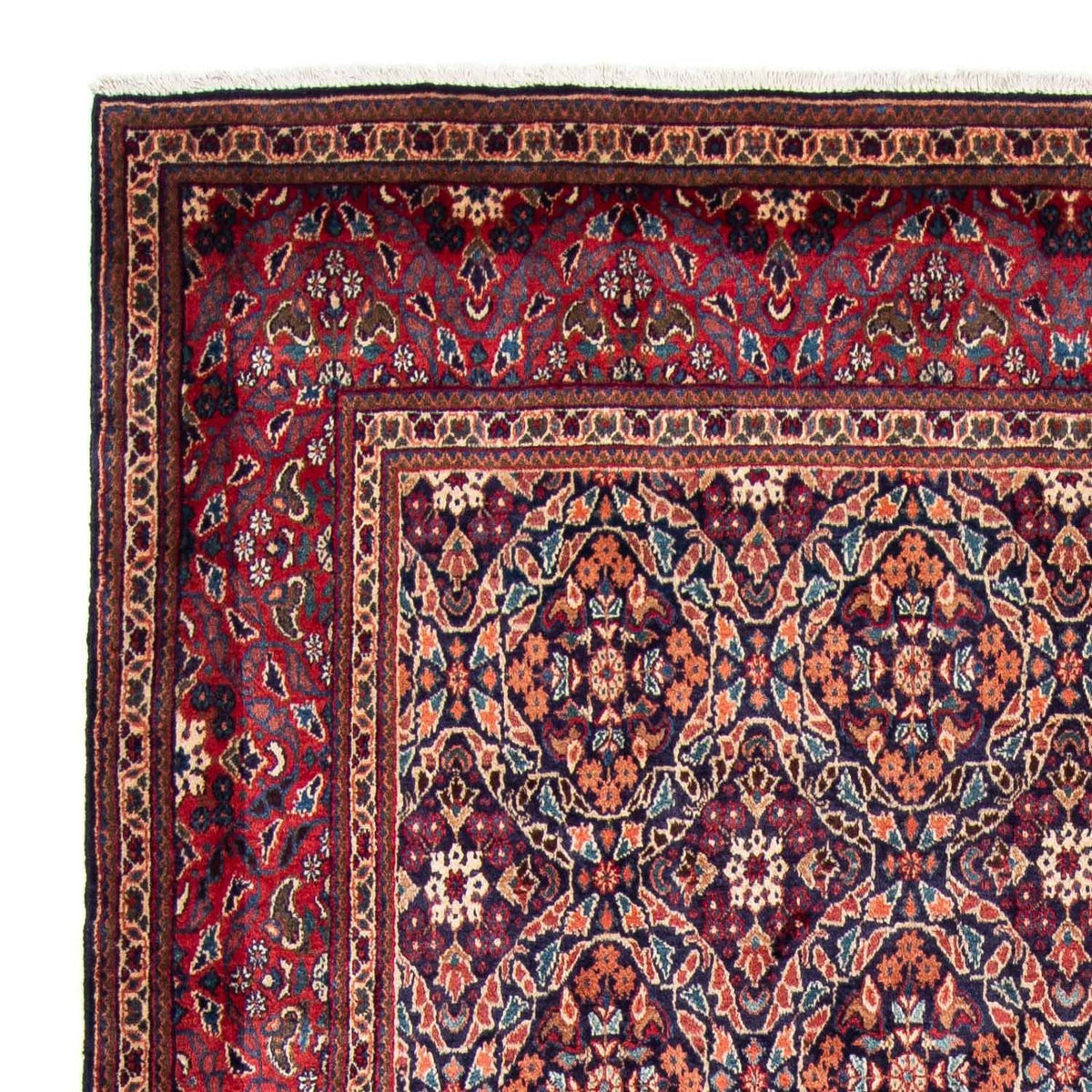 Moud Alfombra 214x314cm - Alfombra persa