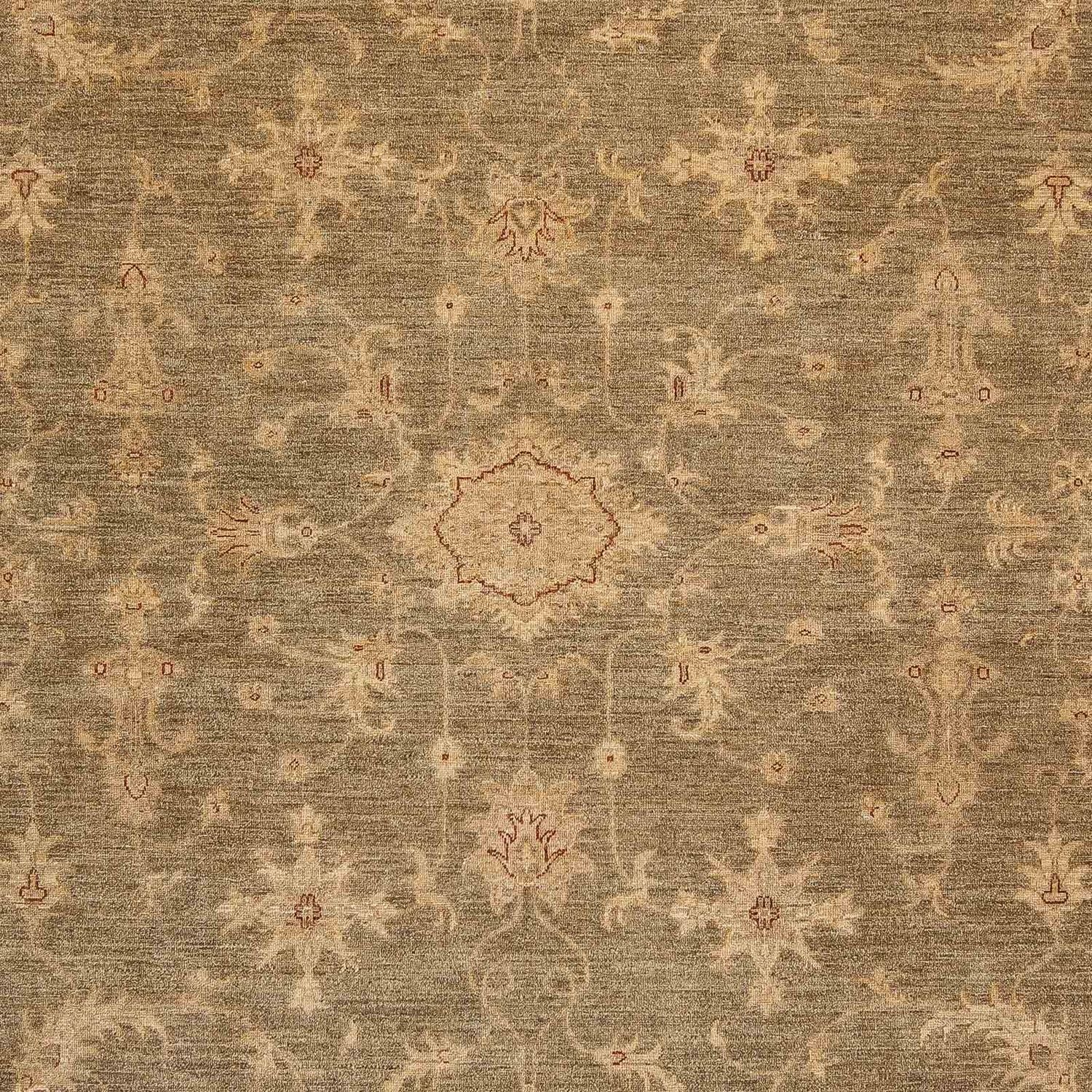 Alfombra Ziegler - 353 x 248 cm - marrón claro
