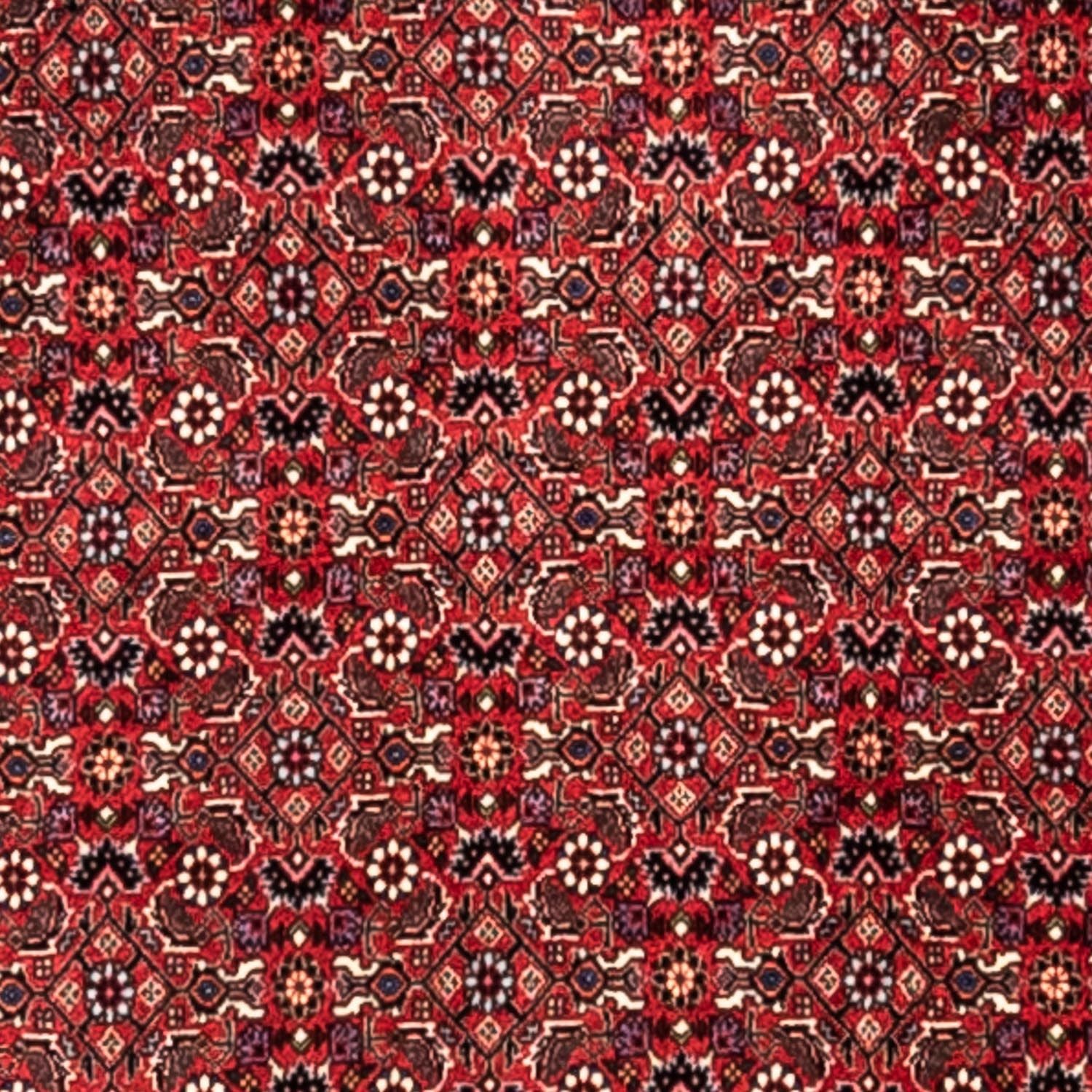 Alfombra persa - Bidjar - 345 x 253 cm - rojo