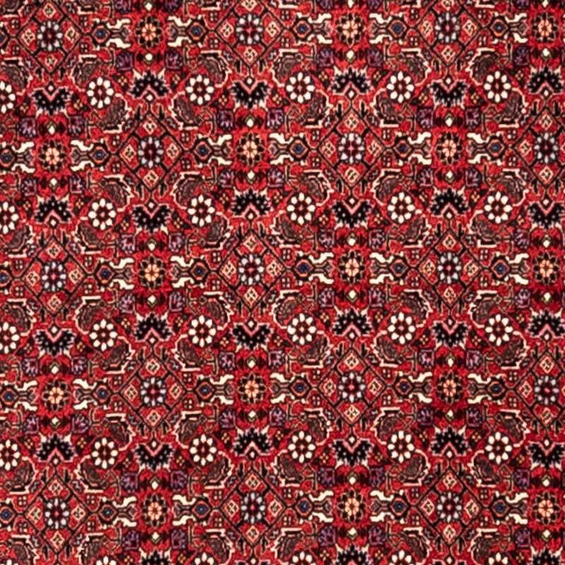 Alfombra persa - Bidjar - 345 x 253 cm - rojo