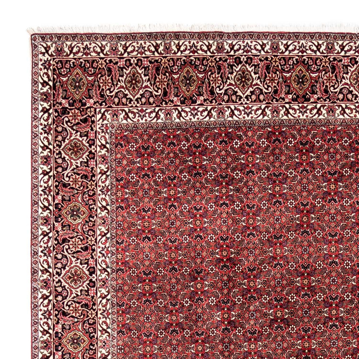 Alfombra persa - Bidjar - 345 x 253 cm - rojo