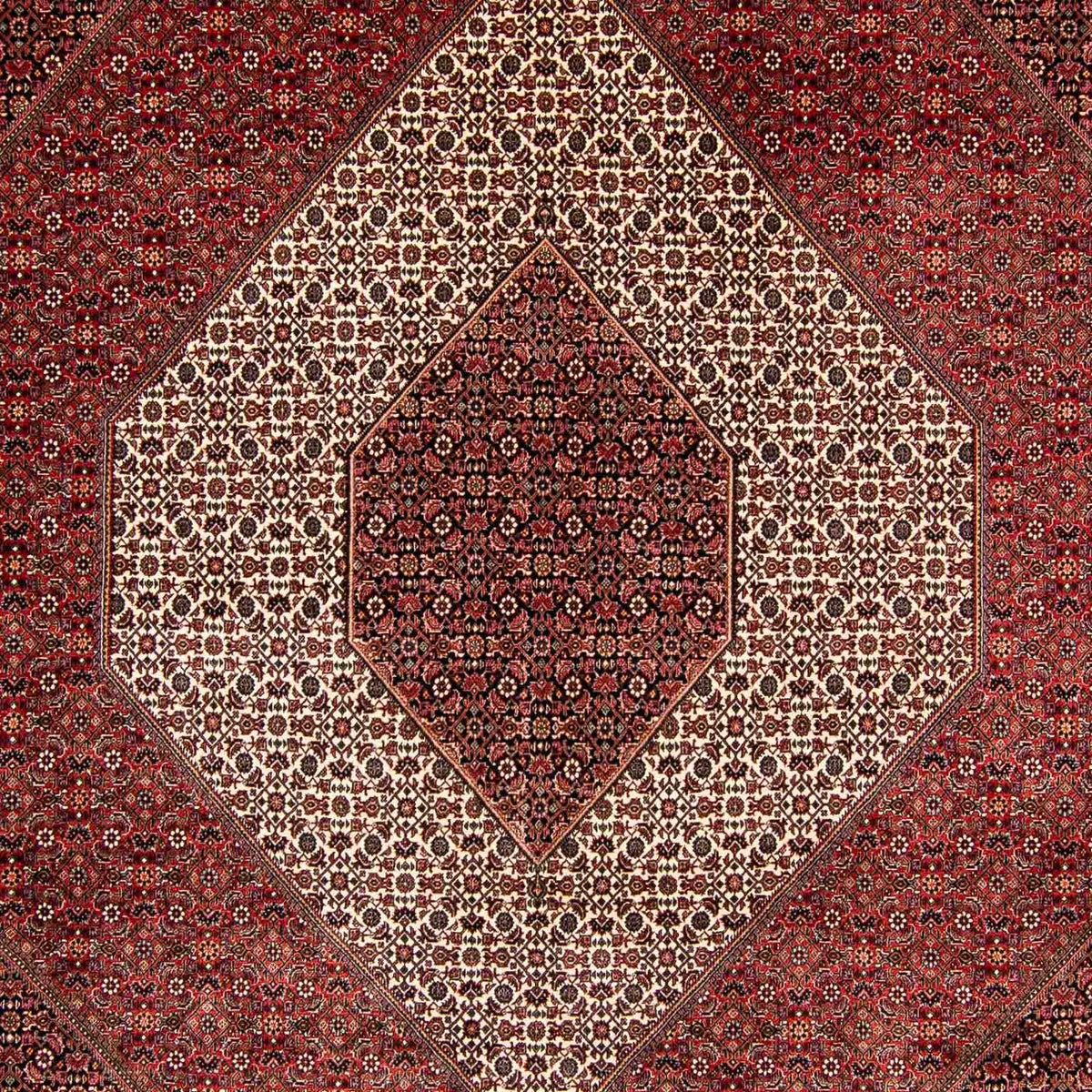 Alfombra persa - Bidjar - 397 x 296 cm - rojo oscuro