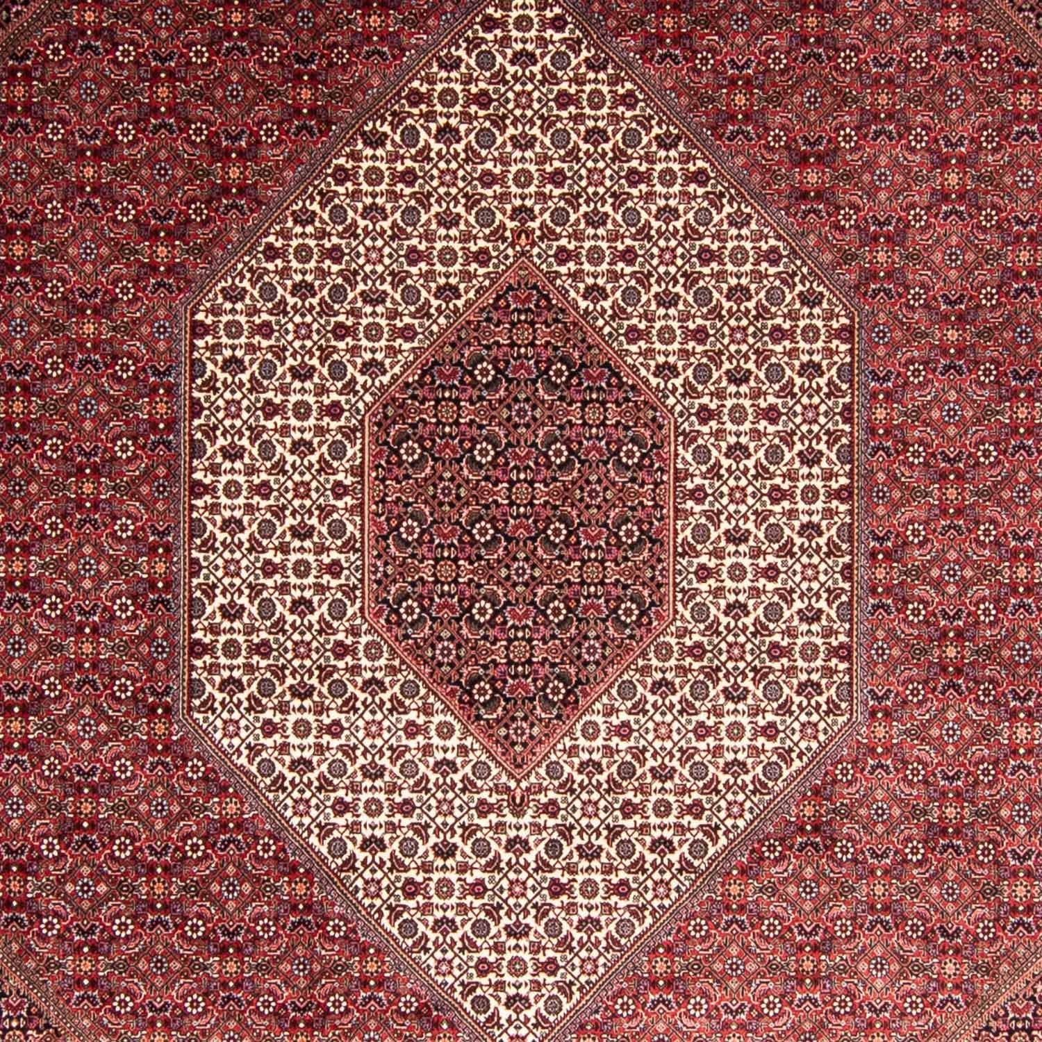 Alfombra persa - Bidjar - 344 x 254 cm - rojo claro