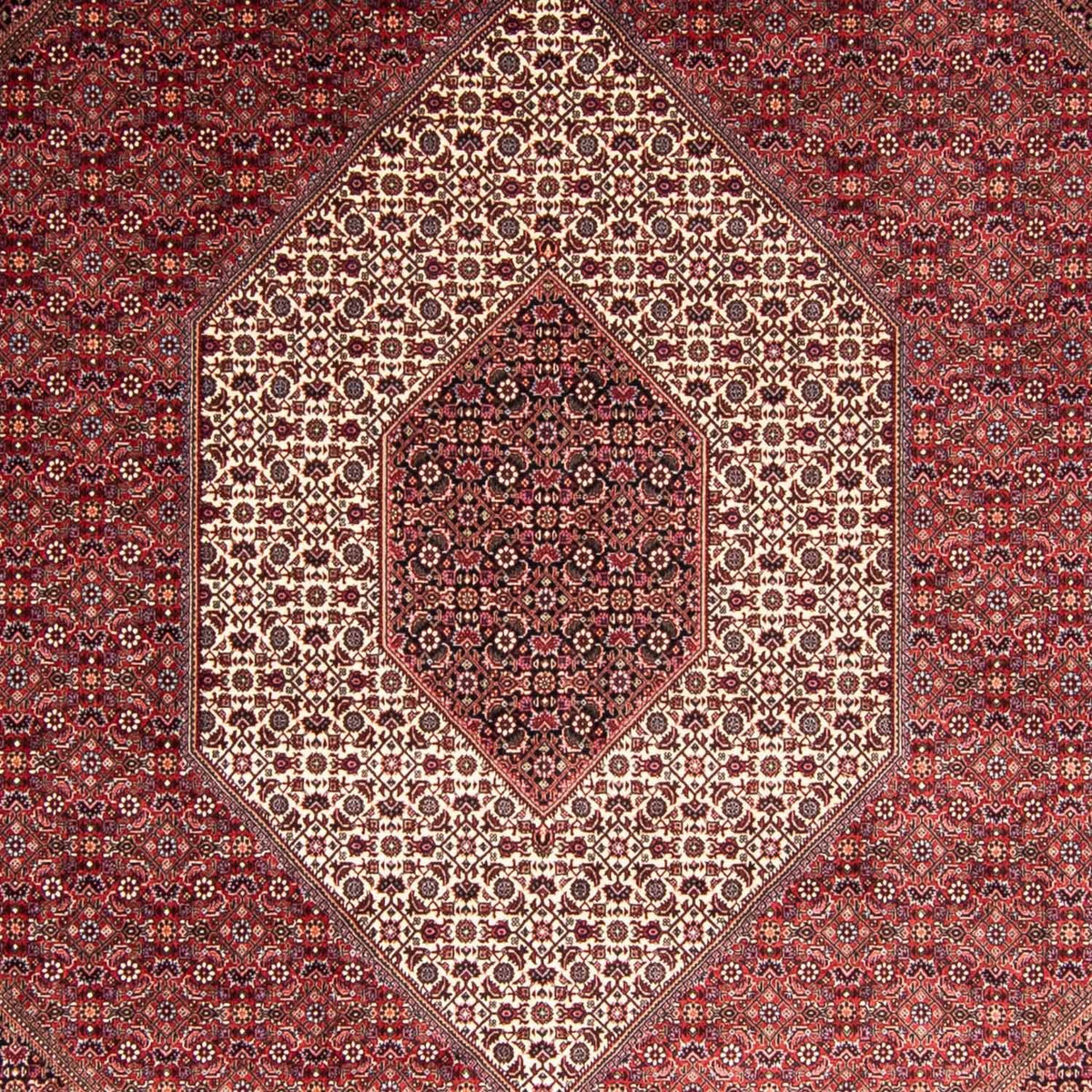 Alfombra persa - Bidjar - 344 x 254 cm - rojo claro