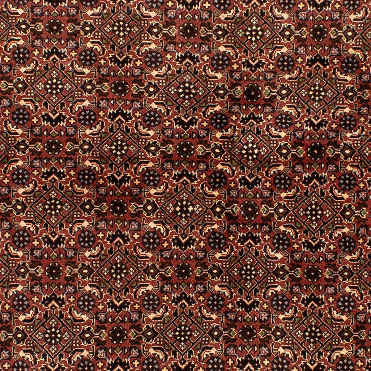 Alfombra persa - Bidjar - 214 x 136 cm - marrón