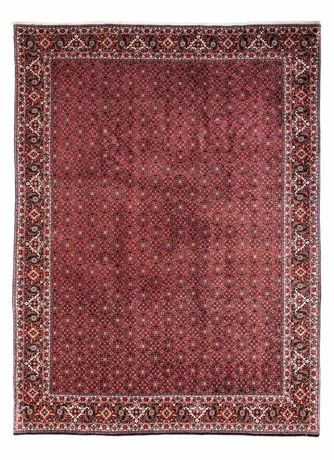 Alfombra persa - Bidjar - 338 x 250 cm - rojo