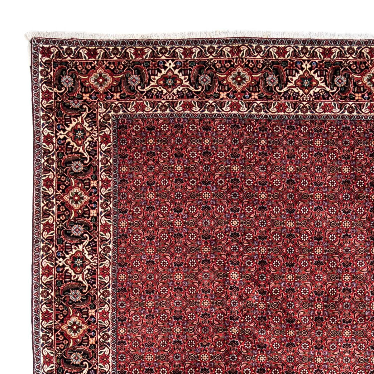 Alfombra persa - Bidjar - 338 x 250 cm - rojo