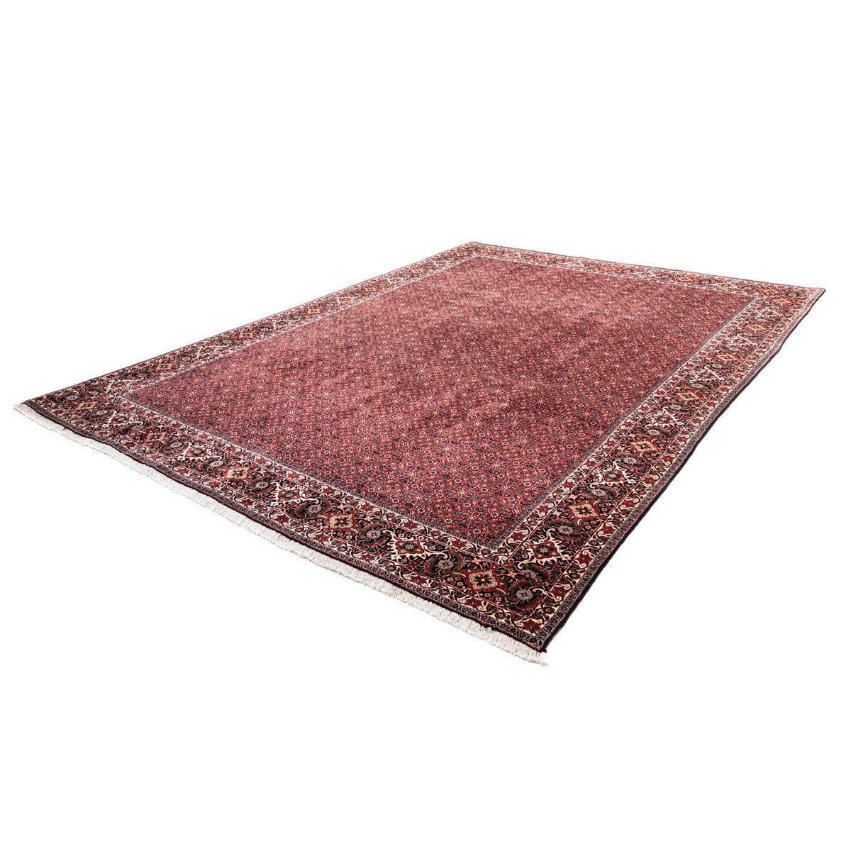 Alfombra persa - Bidjar - 338 x 250 cm - rojo